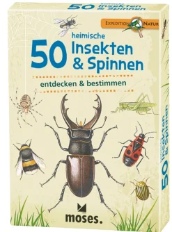 Clearance Waschbär 50 heimische Insekten & Spinnen entdecken & bestimmen.