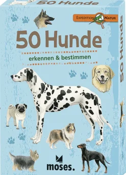 Waschbär 50 Hunde.