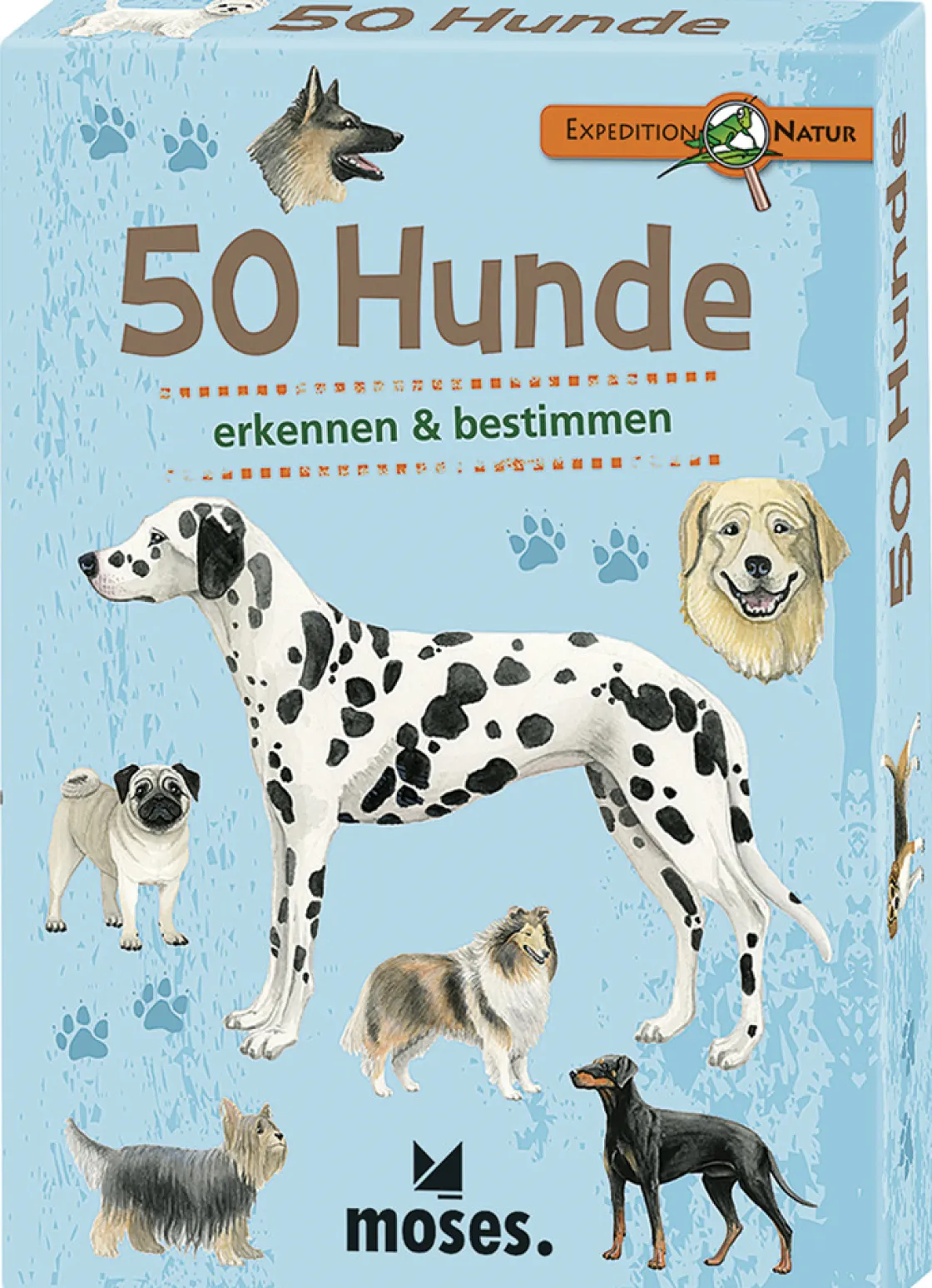 Waschbär 50 Hunde.