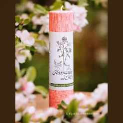 Sale Waschbär Allgäuer Heilkräuterkerze »Harmonie und Liebe«.
