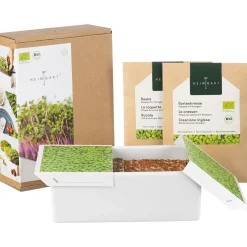 Clearance Waschbär Anzuchtset für frische Keime.