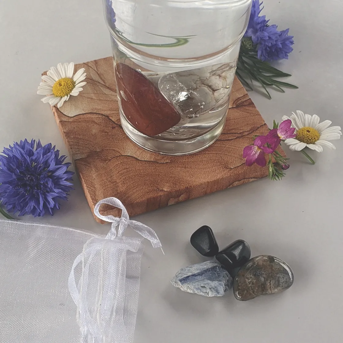 Discount Waschbär »AquaViva«-Set zur Wasseraufbereitung. Nervensystem.