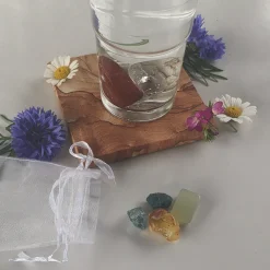 Hot Waschbär »AquaViva«-Set zur Wasseraufbereitung. Nieren.