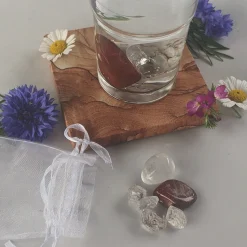 Clearance Waschbär »AquaViva«-Set zur Wasseraufbereitung. Schutzfunktion.