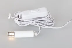 Outlet Waschbär Beleuchtung für Annaberger Faltsterne.