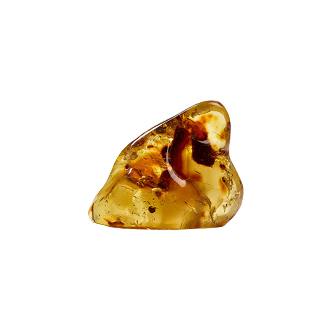 Outlet Waschbär Bernstein-Rohstein, poliert. Einzelstück.