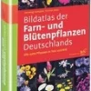 Sale Waschbär Bildatlas der Farn- und Blütenpflanzen Deutschlands.