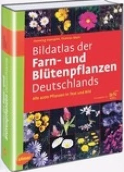 Sale Waschbär Bildatlas der Farn- und Blütenpflanzen Deutschlands.
