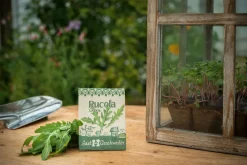 Online Waschbär Bio-Saatgut Rucola »Grazia« (Diplotaxis tenuifolia).