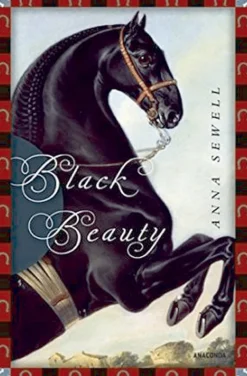 Best Waschbär Black Beauty.