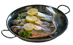 Clearance Waschbär Bratpfanne für Feuerschale.