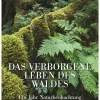 Sale Waschbär Das verborgene Leben des Waldes. Ein Jahr Naturbeobachtung.