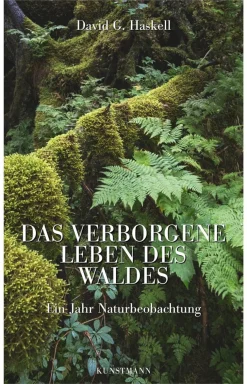 Sale Waschbär Das verborgene Leben des Waldes. Ein Jahr Naturbeobachtung.