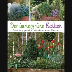 Waschbär Der immergrüne Balkon. Ganzjährig gestalten mit winterharten Pflanzen.