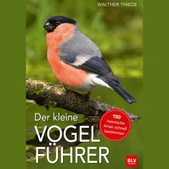 Sale Waschbär Der kleine Vogelführer.