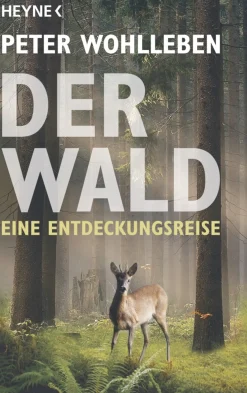 Best Waschbär Der Wald - Ein Nachruf