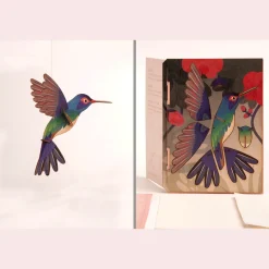 Clearance Waschbär 3D-Holzpostkarte »Kolibri«.