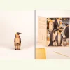 Clearance Waschbär 3D-Holzpostkarte »Pinguine«.