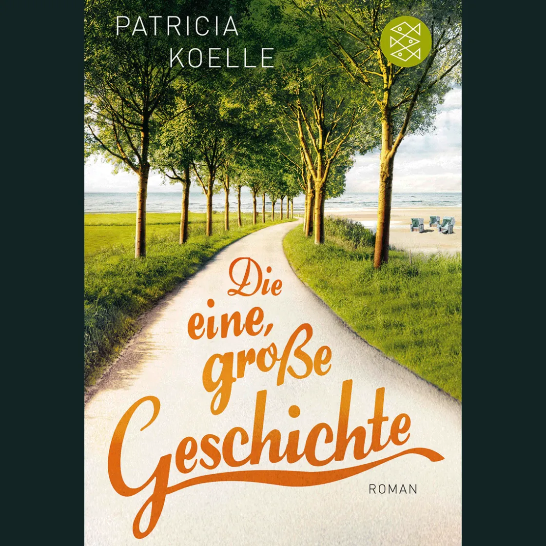 Clearance Waschbär Die eine, große Geschichte: Roman.