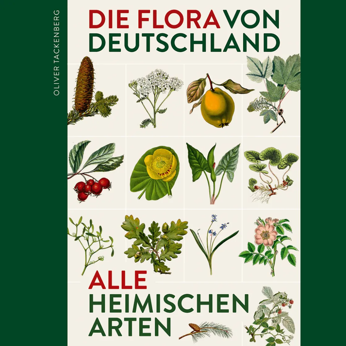 Waschbär Die Flora von Deutschland. Alle heimischen Arten. Über 2.500 Pflanzen.