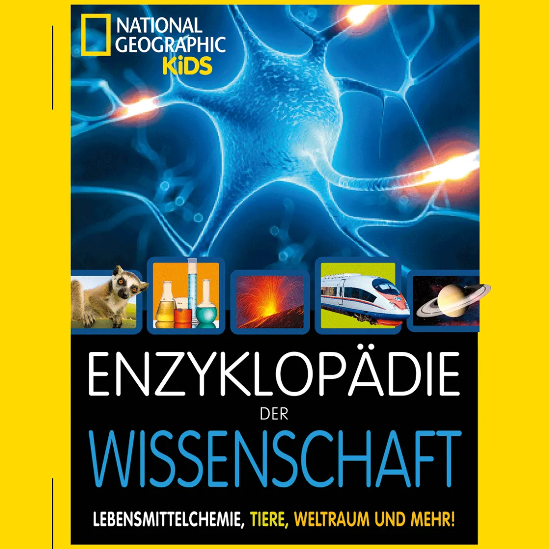 Waschbär Enzyklopädie der Wissenschaft. Atomspaltung, Lebensmittelchemie, Tiere, Weltraum und mehr!