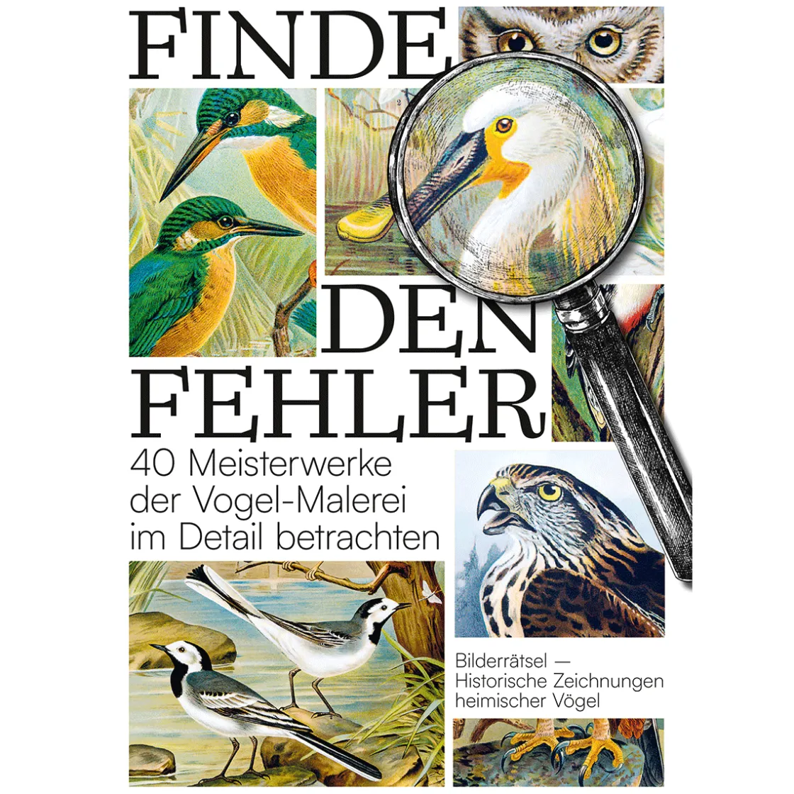 Best Waschbär Finde den Fehler - 40 Meisterwerke der Vogel-Malerei. Bildersuchrätsel.