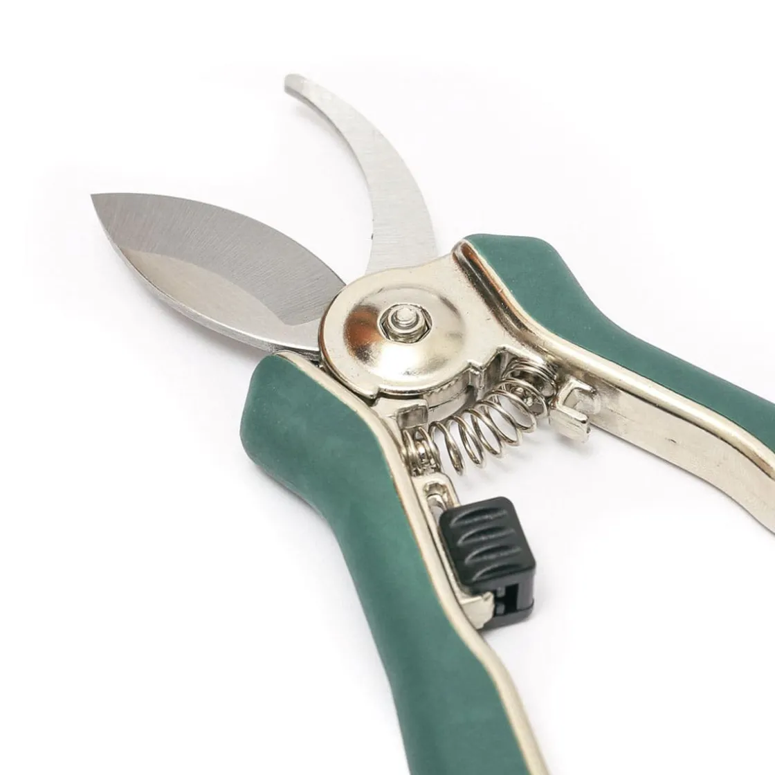 New Waschbär Floristik-Schere.