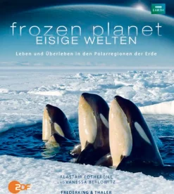 Online Waschbär Frozen Planet - Eisige Welten