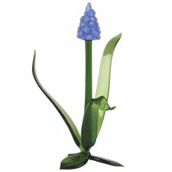 Hot Waschbär Glasblume »Hyazinthe«.