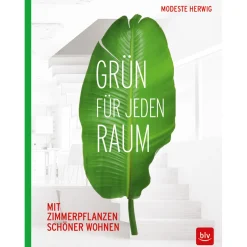 Waschbär Grün für jeden Raum. Mit Zimmerpflanzen schöner wohnen.