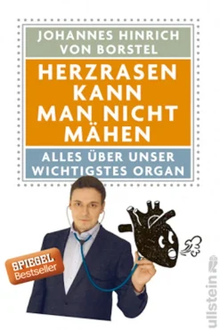 Waschbär Herzrasen kann man nicht mähen. Alles über unser wichtigstes Organ.