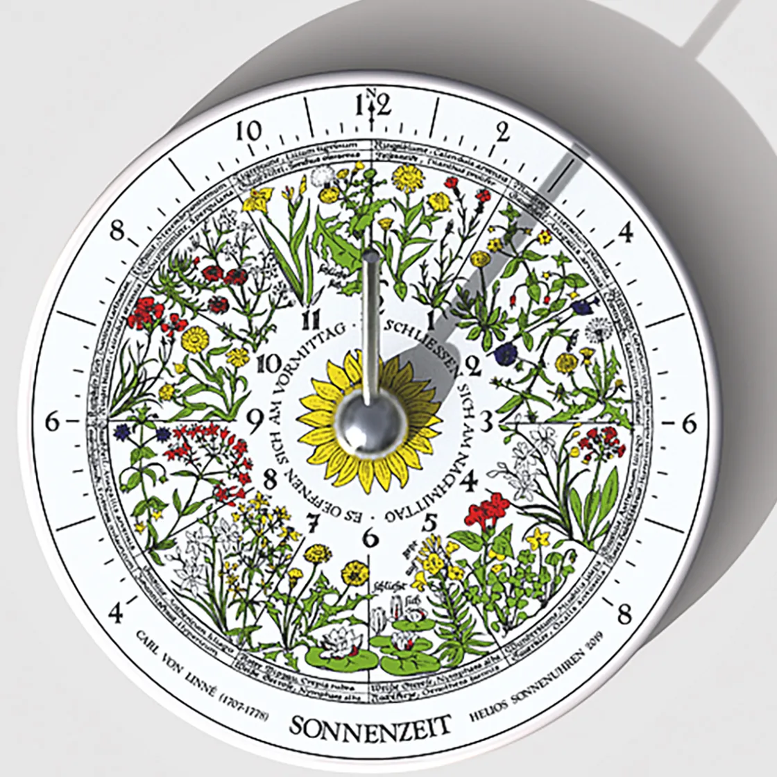 Outlet Waschbär HORA-Sonnenuhr »Floris« nach Carl von Linné.