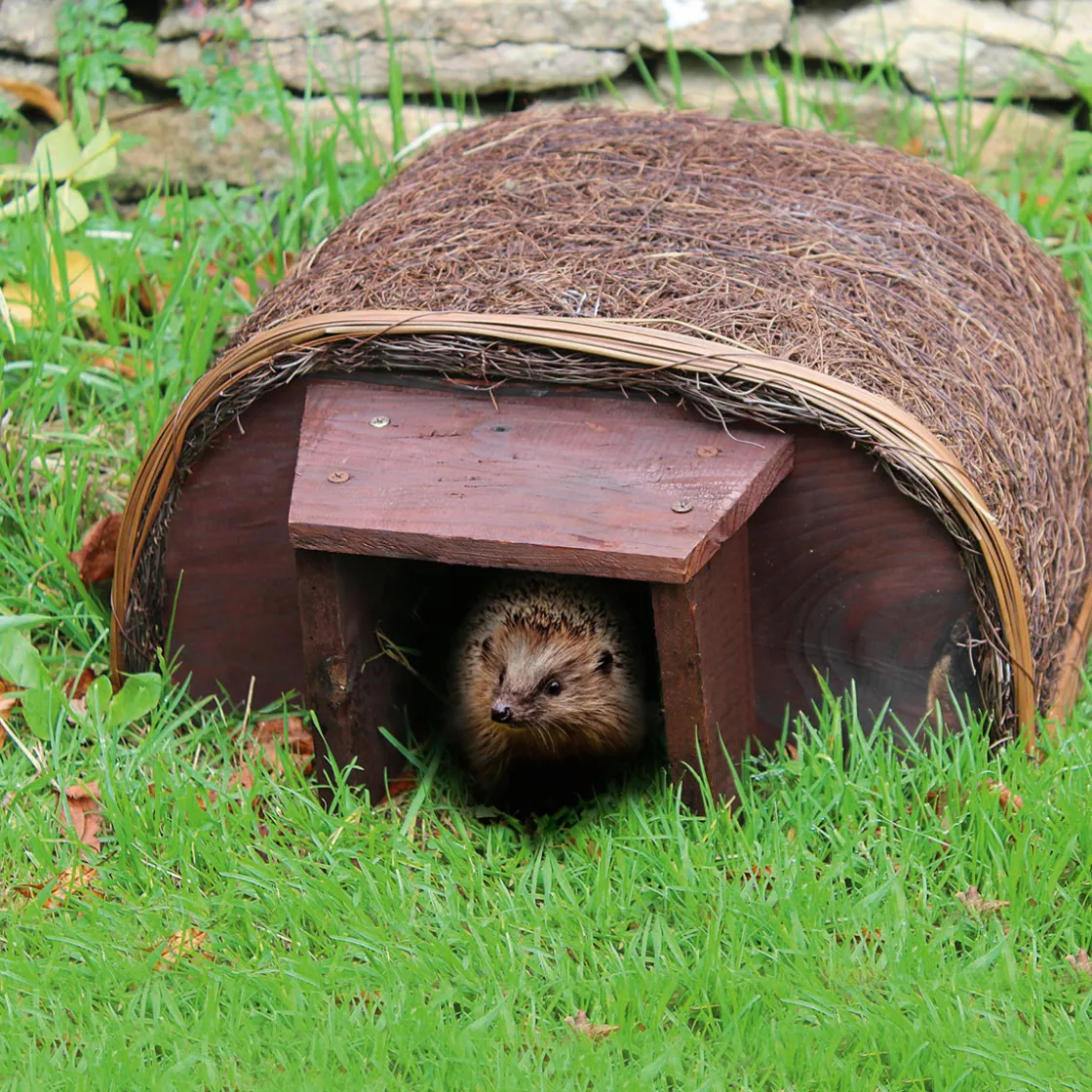 Hot Waschbär Igelhaus mit Tunnelzugang.