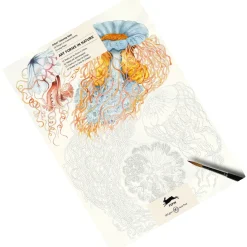 Sale Waschbär Künstler-Malbuch »Art Forms in Nature«.