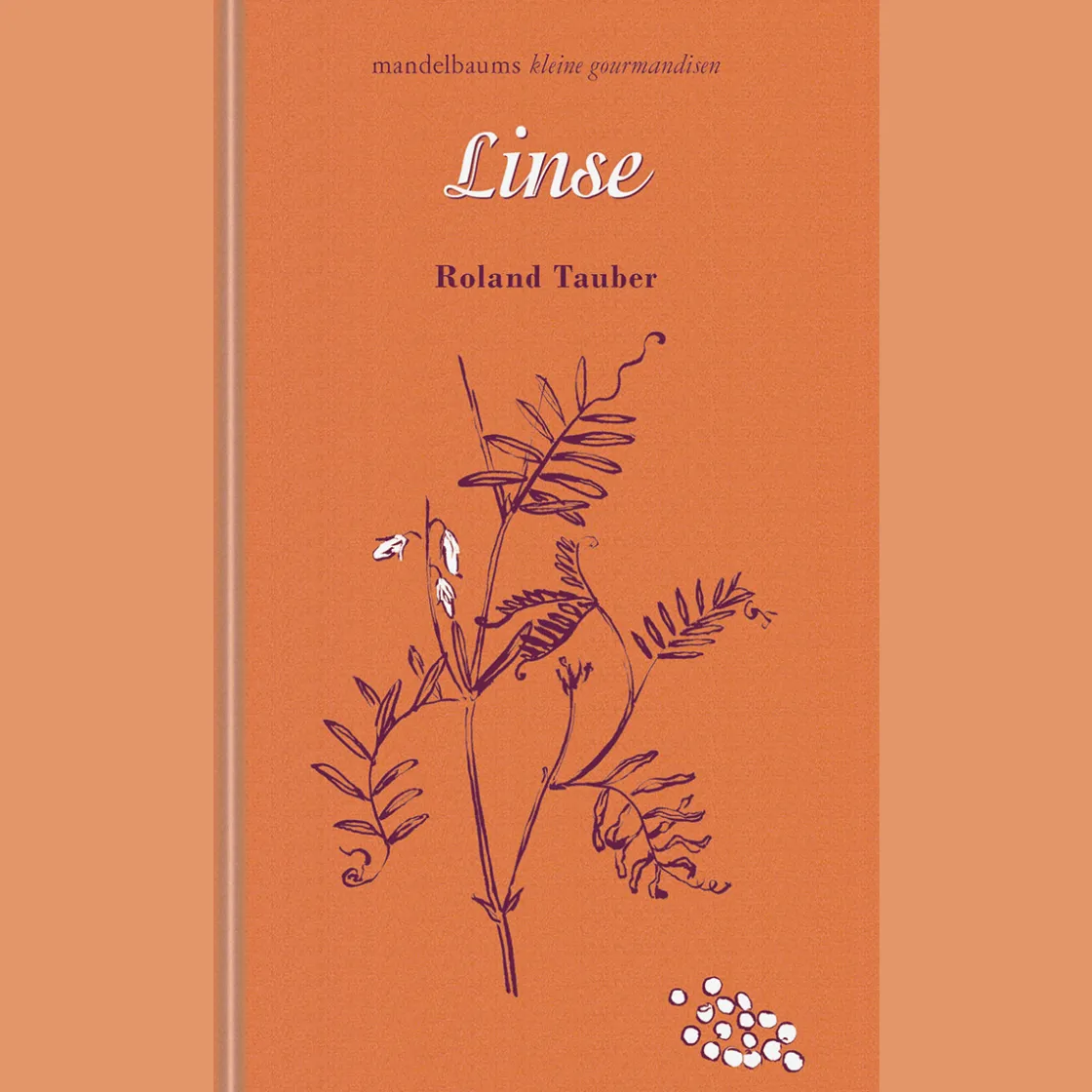 Waschbär Linse. kleine gourmandise Nr. 60.