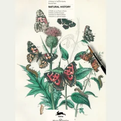 Online Waschbär Malbuch »Naturgeschichte«.