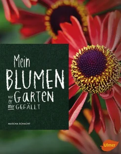 Waschbär Mein Blumengarten