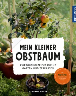 Sale Waschbär Mein kleiner Obstbaum. Zwerggehölze für kleine Gärten und Terrassen.