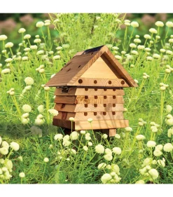 Clearance Waschbär Nisthilfe für Bienen.