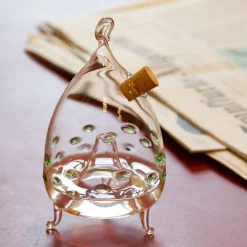 Discount Waschbär Obstfliegenfalle, grün.