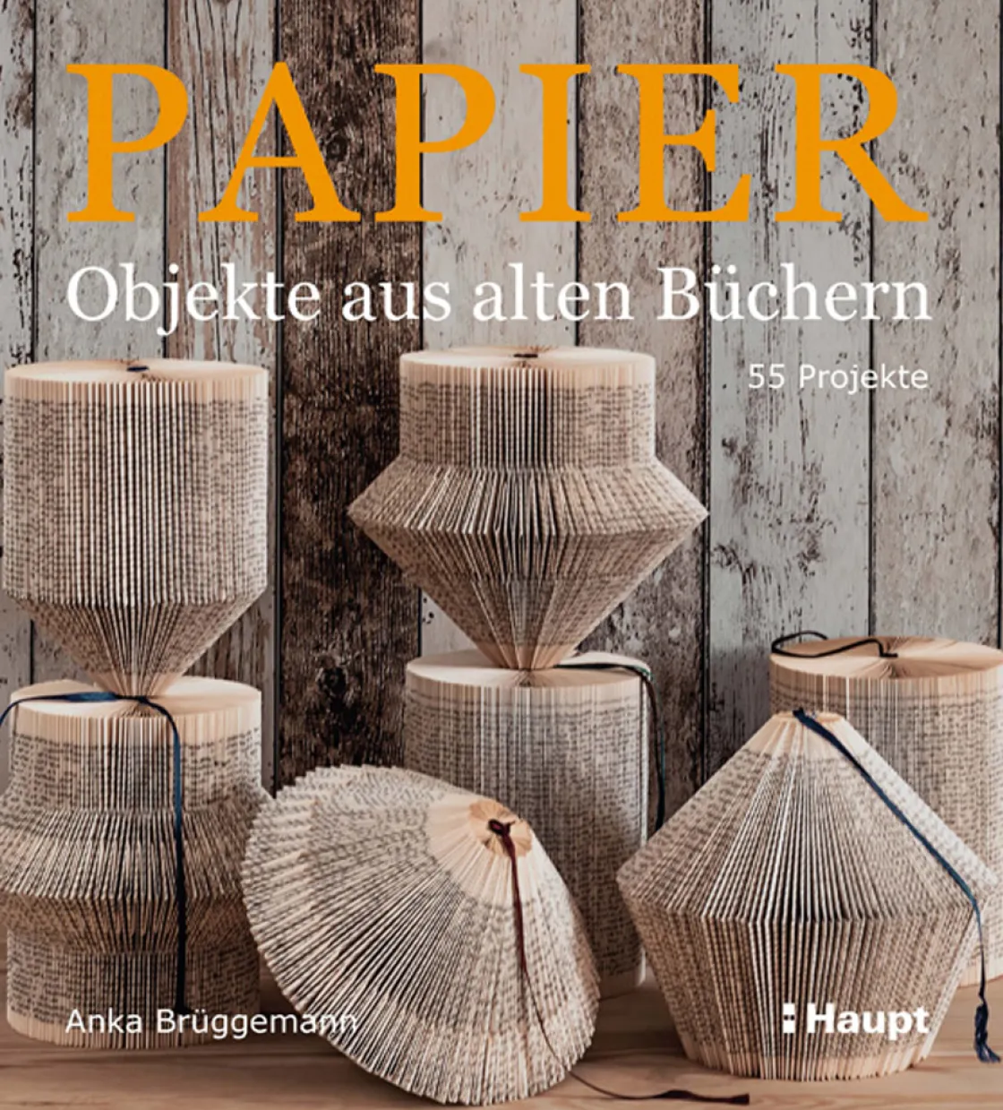 Outlet Waschbär Papier-Objekte aus alten Büchern. 55 Projekte.