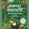 Waschbär Perfekt versteckt. Wie Tiere sich tarnen.