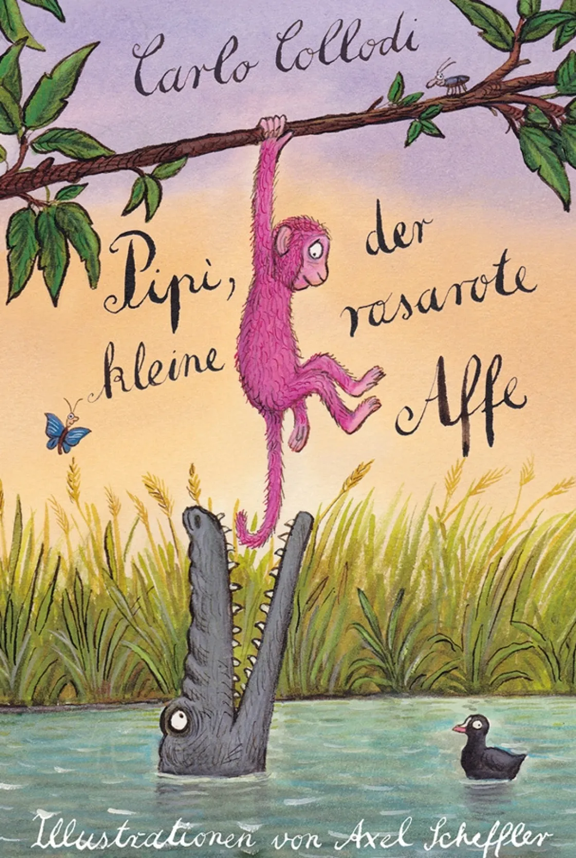 Waschbär Pipi, der kleine rosarote Affe.