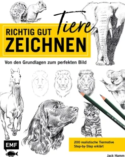 Online Waschbär Richtig gut Tiere zeichnen.