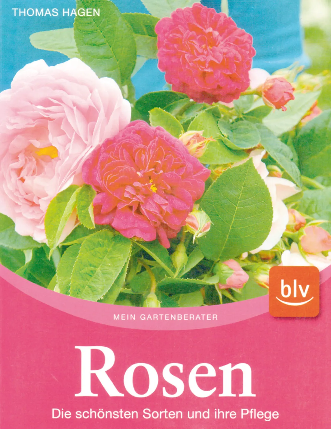 Waschbär Rosen. Die schönsten Sorten und ihre Pflege.