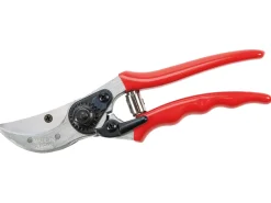 Waschbär Rote Gartenschere.