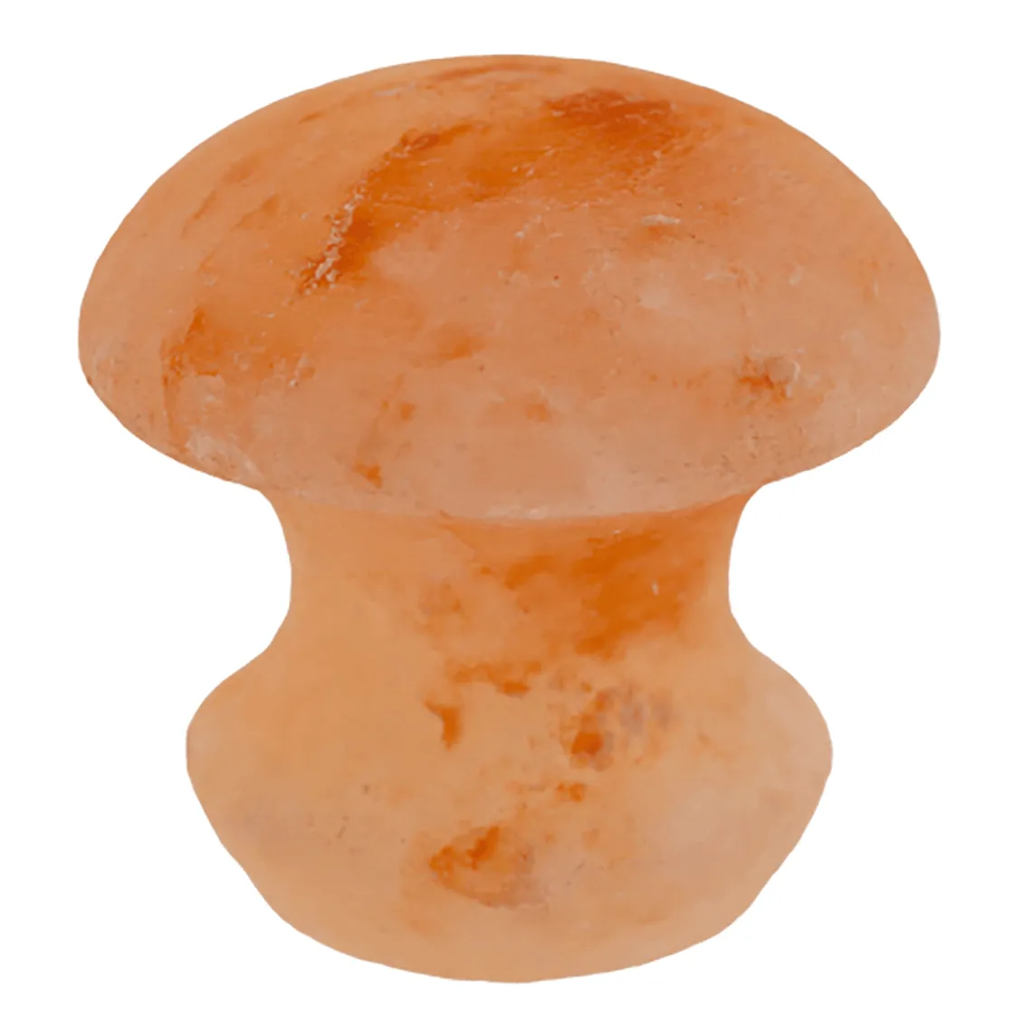 Sale Waschbär Salzkristall Massagestein Pilz