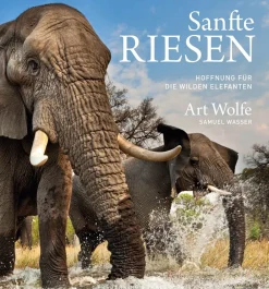 Waschbär Sanfte Riesen. Hoffnung für die wilden Elefanten.