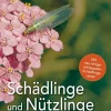 Waschbär Schädlinge und Nützlinge im Garten.