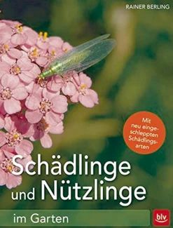 Waschbär Schädlinge und Nützlinge im Garten.